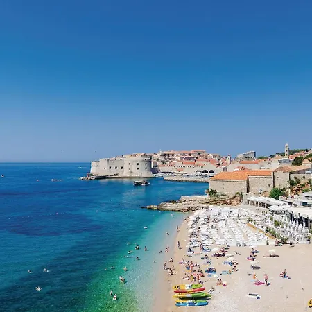 In With Wifi * Molunat